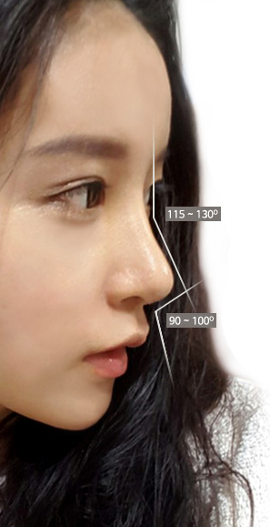 韓国鼻整形名医のココ美容外科における理想的な鼻と口の角度です。 横から見たとき、額から鼻に下がる角の角度が115~130度、鼻先から鼻先への角度は90~100度が理想的な角度と判断しています。