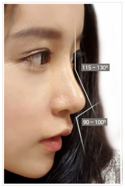 韓国鼻整形名医のココ美容外科における理想的な鼻と口の角度です。 横から見たとき、額から鼻に下がる角の角度が115~130度、鼻先から鼻先への角度は90~100度が理想的な角度と判断しています。
