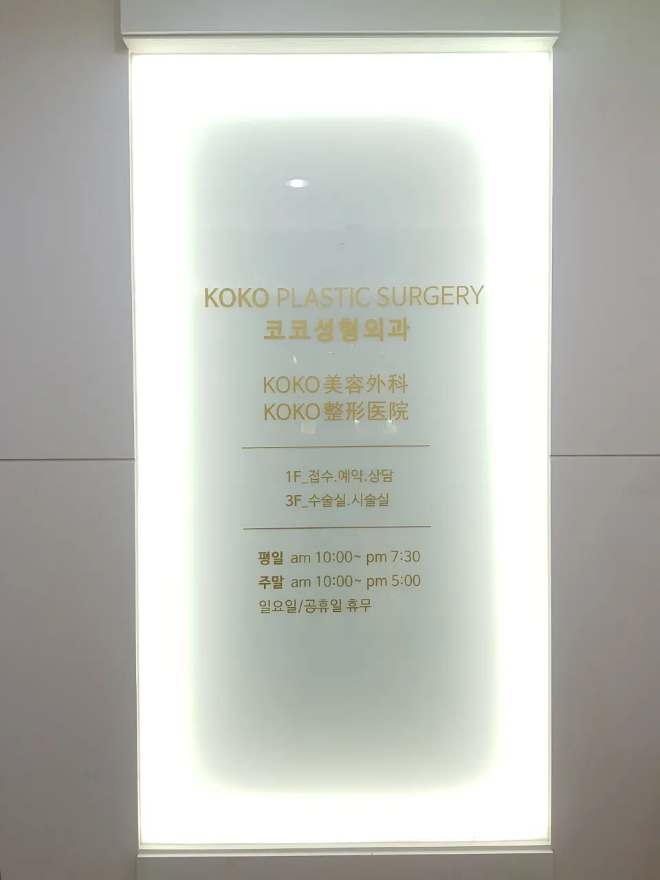 KOKO美容外科+鼻の手術 05